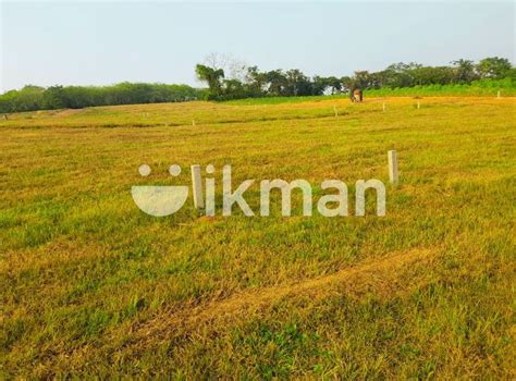 Valuable Land For Sale Piliyandala Ikman