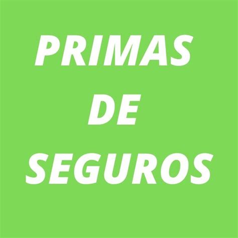 Gu A Completa Para Contabilizar Primas De Seguros En La Empresa