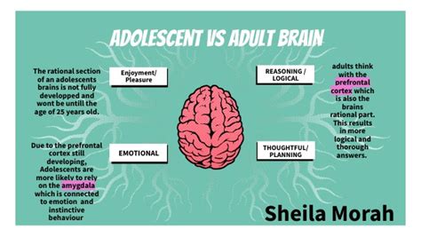 Adolescents Vs Adult Brain