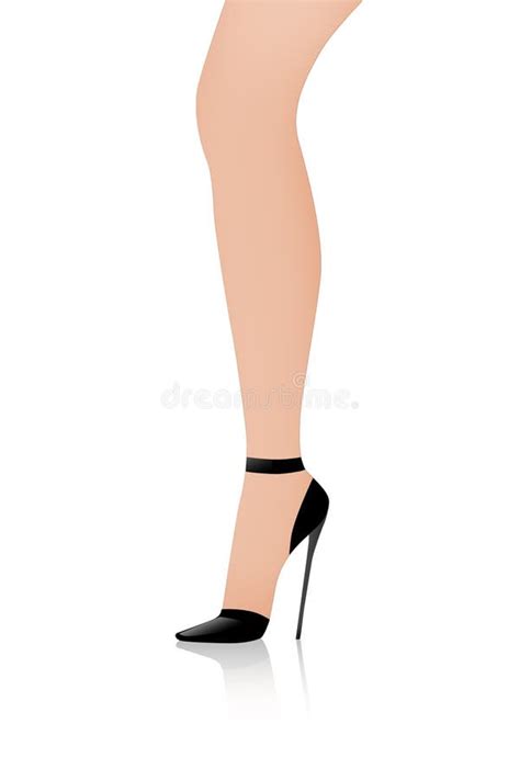 Woman's leg illustration stock illustration. Illustration of human ...