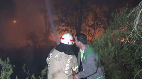 Stanbul Un Ekmek Y Il Esinde Ormanl K Alanda Yang N