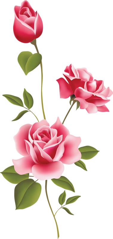 free clipart pink rose 20 free Cliparts | Download images on Clipground ...