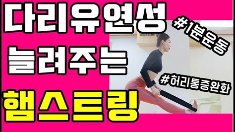 1분 다리유연성 기르는운동1분 하체스트레칭다리유연성을 기르는 햄스트링스트레칭허리통증 풀어주는 햄스트링 Youtube