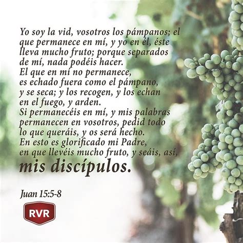 Rvr Vers Culo B Blico Diario Juan Frases Espirituales