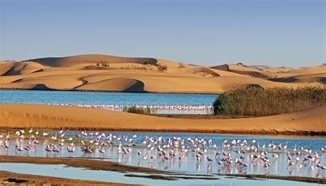 Namíbia Onde fica mapa capital bandeira história turismo e desertos