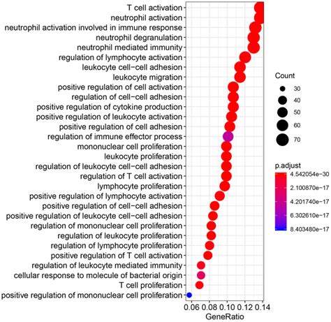 Gene Ontology Biological Process Terms Associated With V Domain Ig Download Scientific Diagram