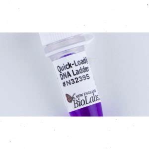 Quick Load 1 Kb Extend DNA Ladder 125 Gel Lanes LabMal