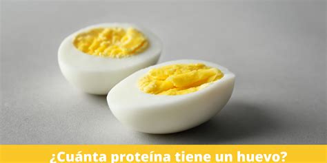 Cuánta proteína tiene un huevo Dialcosan distribuciones