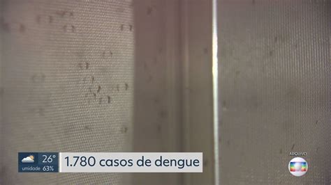 O Avan O Da Dengue No Df N Mero De Casos J Quatro Vezes Maior Em