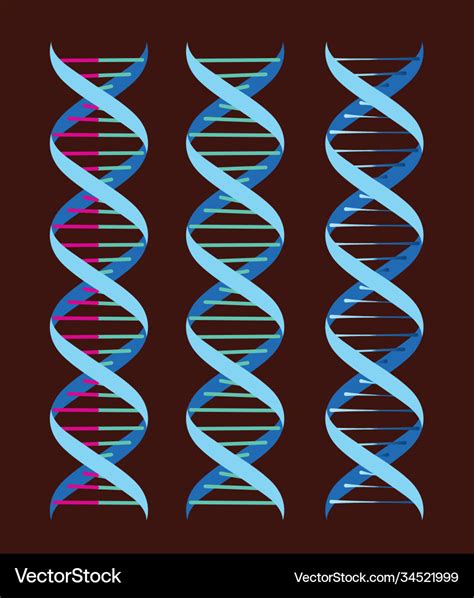 dna biotechnology symbol double helix vector image