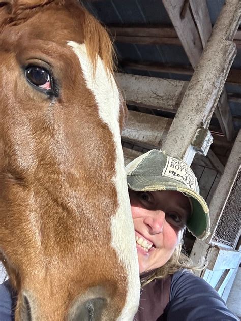 Build A Better Bond: 100+ Ways To Connect With Your Horse: Horse