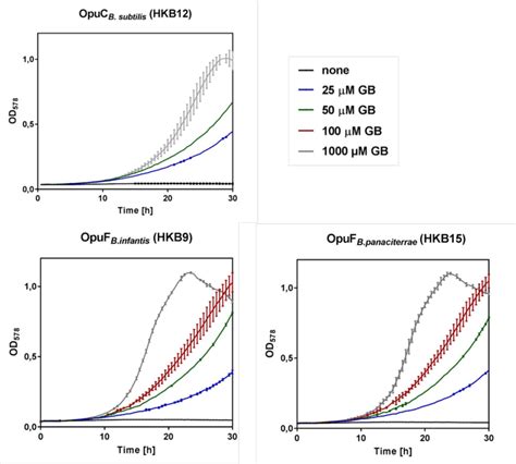 Fig S3 Growth Curves Of The B Subtilis Strains Possessing Either The