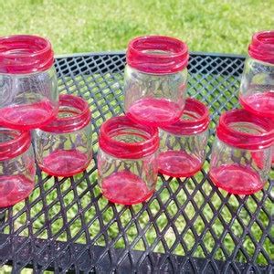 Mini Mason Jar Shot Glasses Set Of Ten Choose Colors Hot Pink Wedding