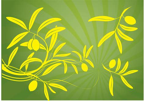 Olive Branch Vector - Download Free Vector Art, Stock Graphics & Images