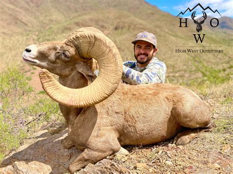 Hunt Texas Desert Bighorn — High West Outfitter