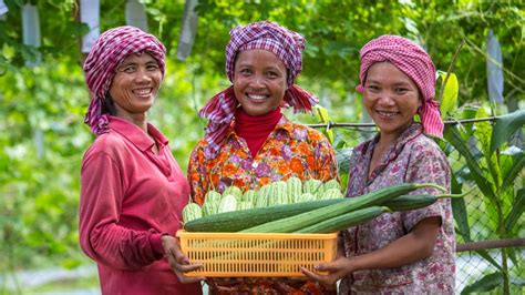 Adb Expects Robust Growth For Cambodias Economy Retains Forecast For