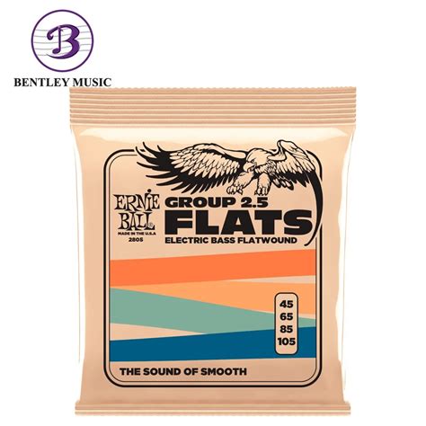 Ernie Ball P02805 Flatwound Group 2 5 Electric Bass Strings 45 105