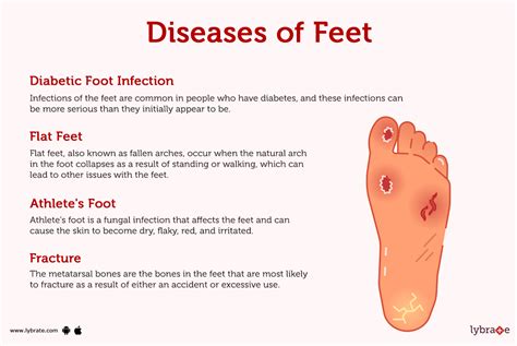 feet human anatomy picture function bones ligaments