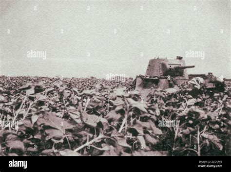 Sowjetischer Leichter Panzer Stockfotos Und Bilder Kaufen Alamy