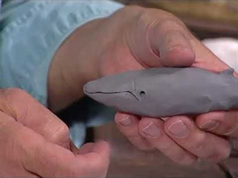 Creations In Clay Humpback Whale Clay Tutorial For Beginners How To