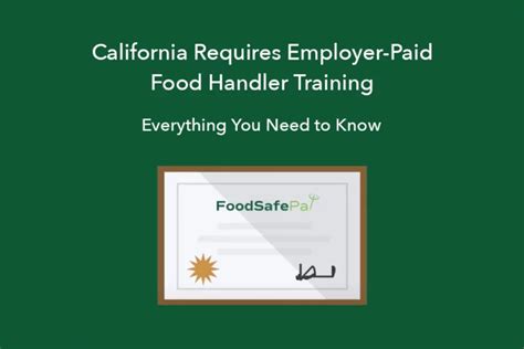 How Long Does A Food Handlers Card Last Foodsafepal