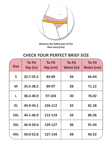 Panty Size Chart In Cm Delegacionuc3mes