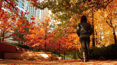 10 Best Fall Activities In Chicago: The Ultimate Fall Bucket List