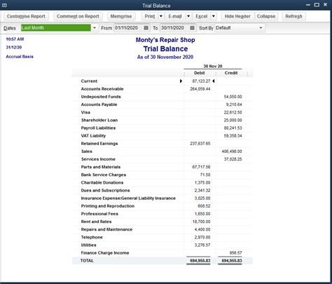 Trial Balance Report Sap Software Setpooter