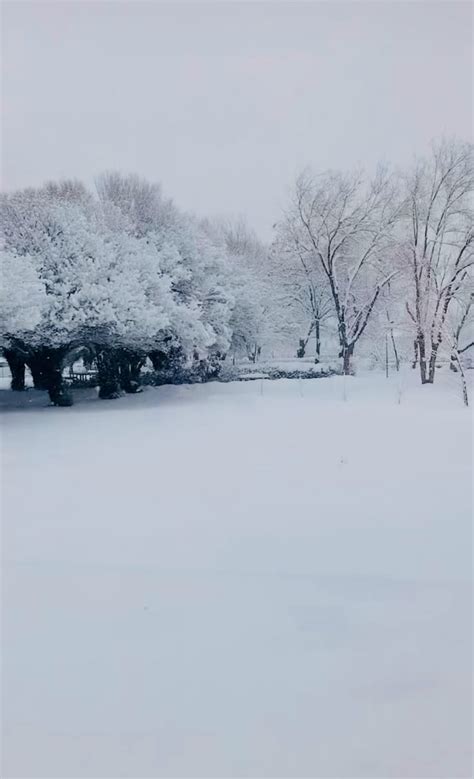 Snowfall scene in Kashmir : r/IndiaSpeaks