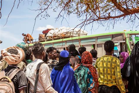 New settlement brings hope to Somali refugees fleeing conflict | UNHCR