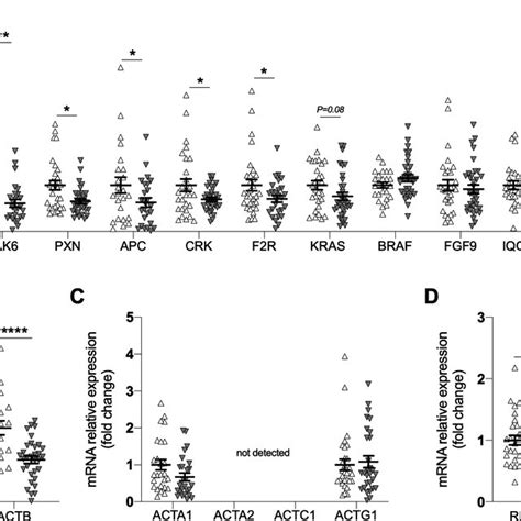 Rt‐qpcr Analysis Of Genes Involved In Regulation Of Actin Cytoskeleton