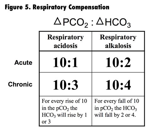 Respiratory Alkalosis Compensation Calculator