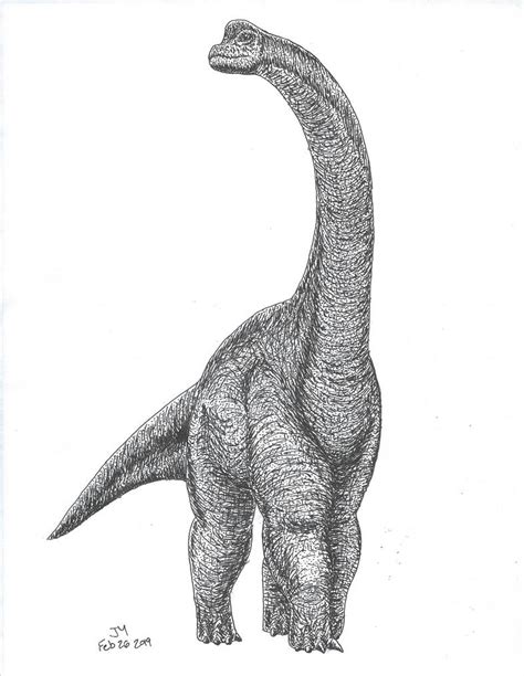 Brachiosaurus Ink By Alldoo On Deviantart