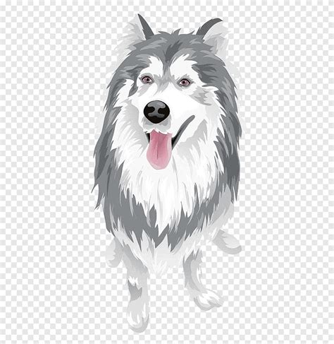 Wolfdog الكرتون الكرتون الذئب لوحة مائية رسوم متحركة png