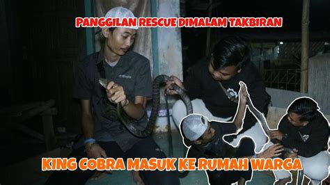 RESCUE KING COBRA MASUK RUMAH WARGA DIMALAM TAKBIRAN YouTube