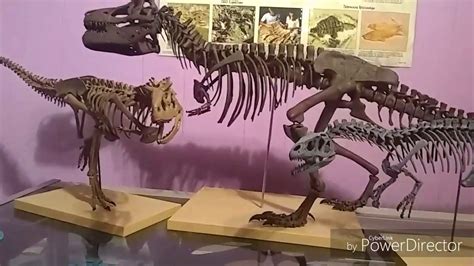 Dessert Dinosaurs Trex Allosaurus Carnotaurus Skeleton Model Reviews Youtube