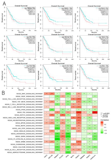 Cancers Free Full Text Construction Of A Prognostic And Early