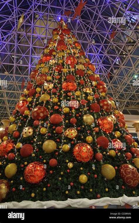 Tallest christmas tree hi-res stock photography and images - Alamy