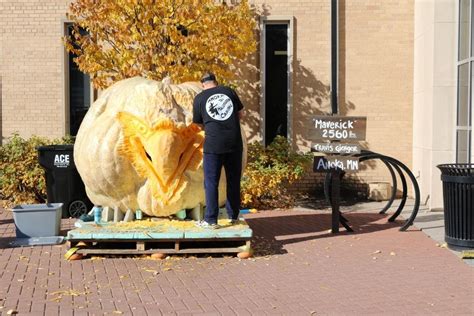 Largest Pumpkin In The U S Being Carved Into Worlds Largest Jack O