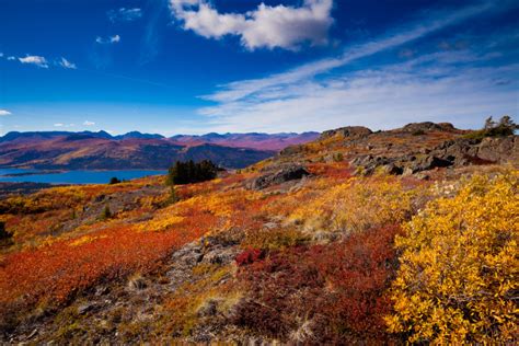 yukon toundra travel