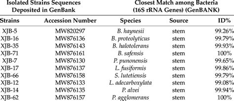 Sequence Similarities Of Bacterial Endophytes Isolated From The Stem Of