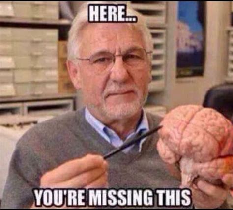 Missing Brain Really Funny Funny Memes Humor