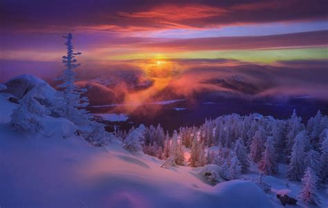 79621 Winter Hd Snow Sunset Fir Tree Rare Gallery Hd Wallpapers