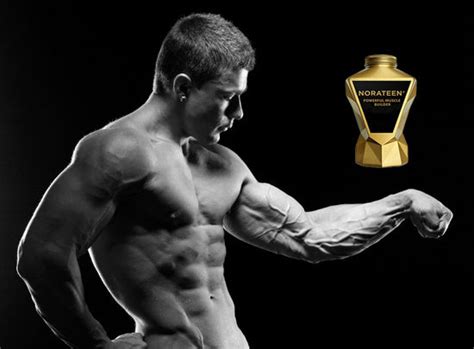 The Knowledge The Key To Unlocking Your Muscle Building Potential