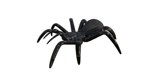 Spider 3d Model 3d Model Cgtrader