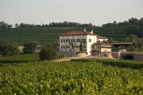 Schiopetto Popular Wine Tasting And Tour