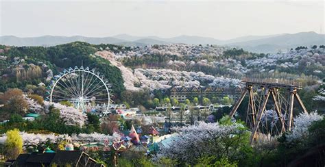 Explore South Korea’s Beautiful Hidden Gem Gyeonggi-Do - Klook Travel Blog