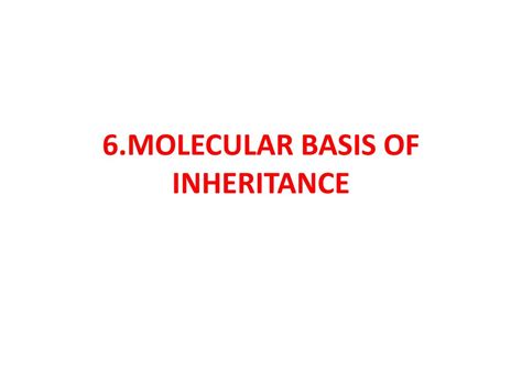 Ppt 6molecular Basis Of Inheritance Powerpoint Presentation Free Download Id1936678