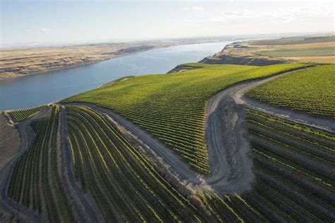 Washington's Columbia Valley AVA - Introductory Guide • Winetraveler