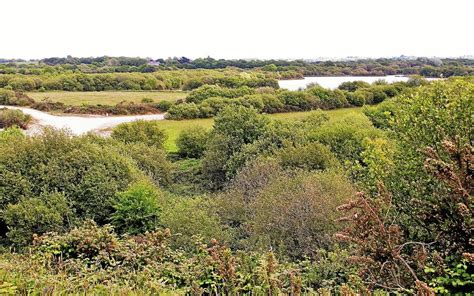 Les Sites Du Dellec Et Bodonou Lhonneur Plouzan Loccasion De